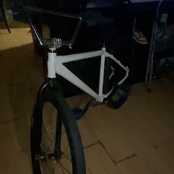 Throne 29er