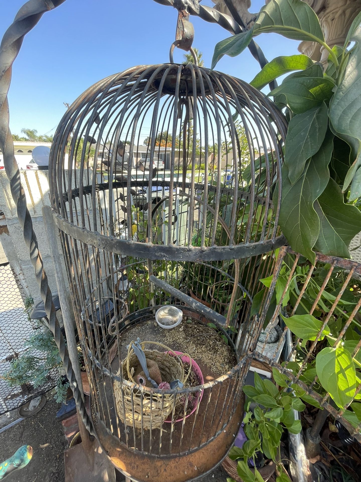 Bird Cage