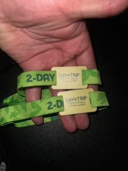 Day trip festival