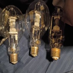 Working Bulbs (Lighting)