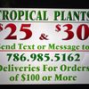 Tropical Arrangements