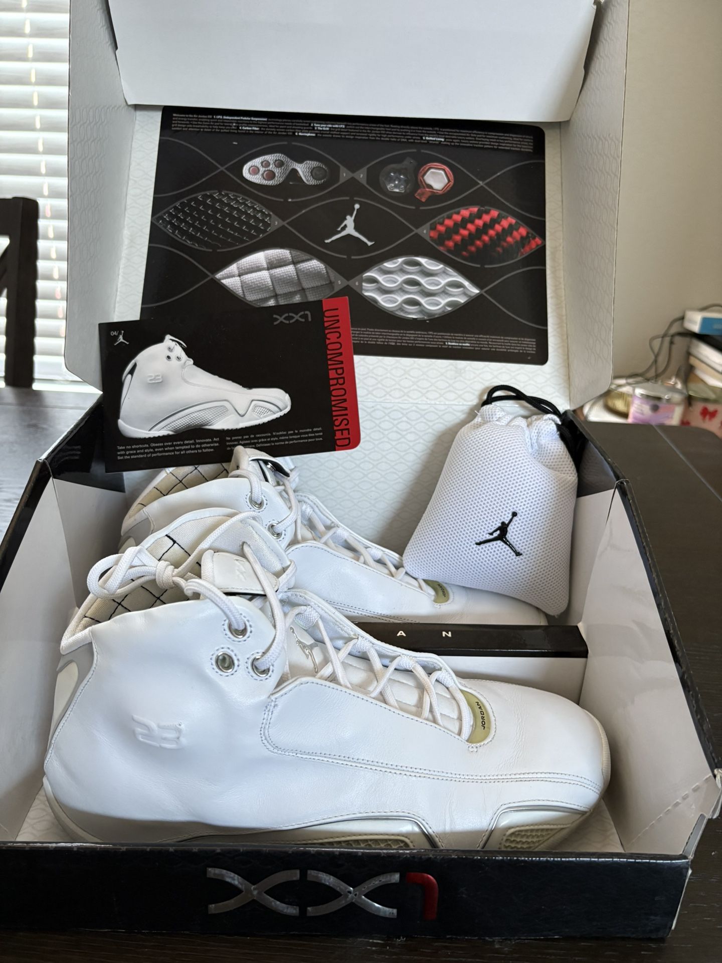 Air Jordan XX1