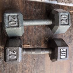 Dumbbell 20 Pound Weights