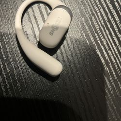 Shokz Earbuds 