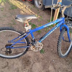 24"Diamondback Outlook 