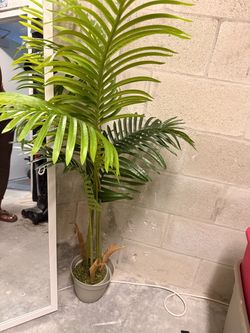 Artificial Palm Tree in Pot