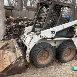 Bobcat 