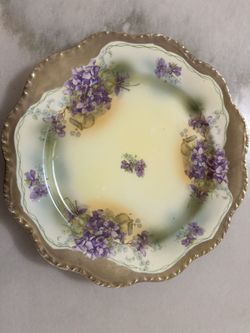 Imperial Austria Vintage Hand Painted Plate