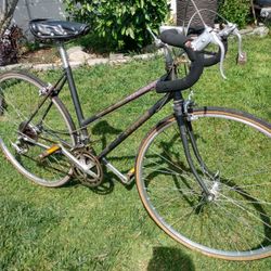 Vintage Schwinn World Sport 12 Speed, Just Tuned Up