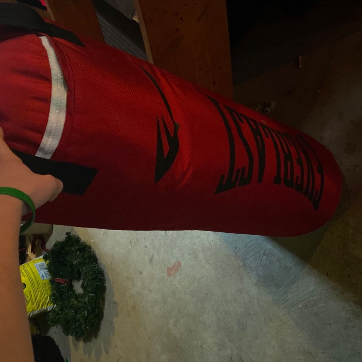 80 Ib Red Everlast Punching Bag