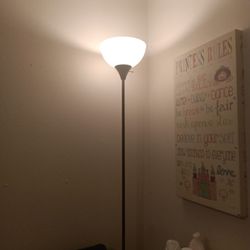 Black n White Floor Lamp