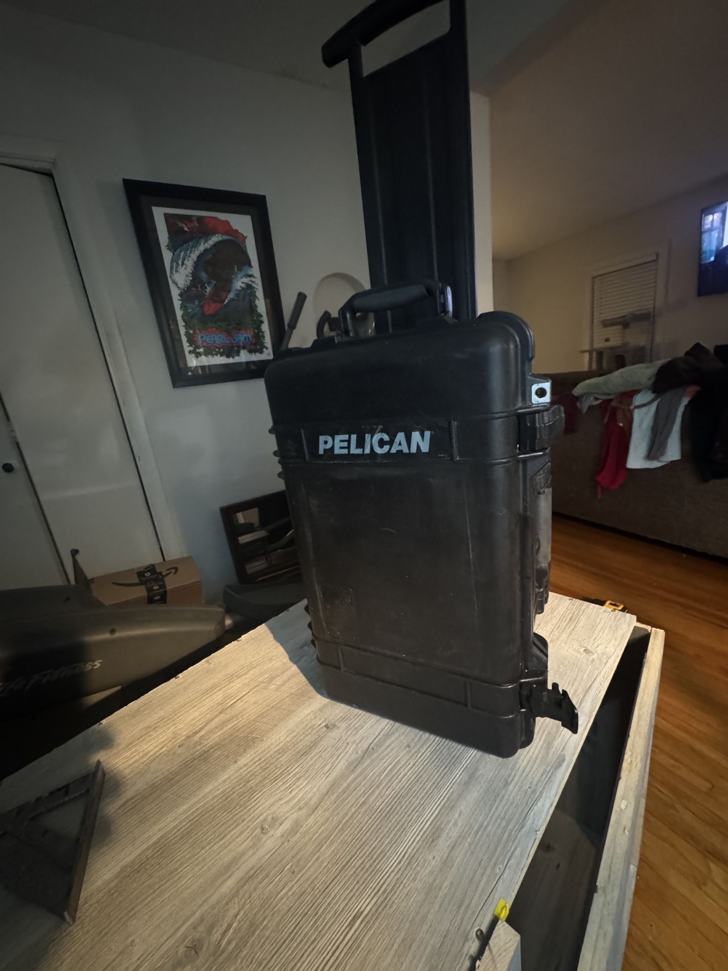 Pelican 1510 With  Some Foam