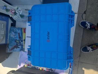Eylar case