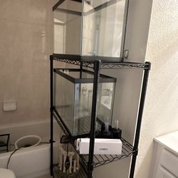 Fish Tank Aquarium Breeding Set Up