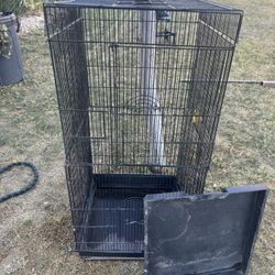 Bird Cage Black Talk 
