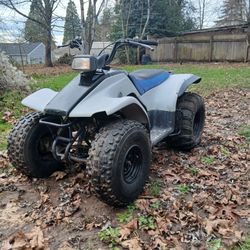 1991 Yamaha Breeze 125