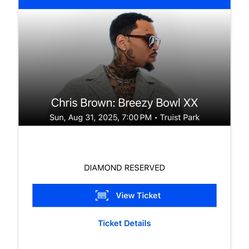 Chris Brown Ticket Section 100