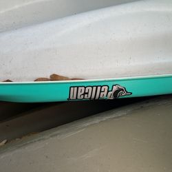 Pelican Trailblazer 100 Next 200 Dollars 