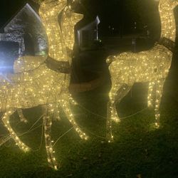 Christmas Decorations 