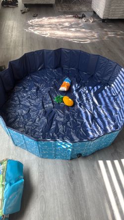 Pet pool