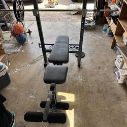 FREE weight Bench And Weights