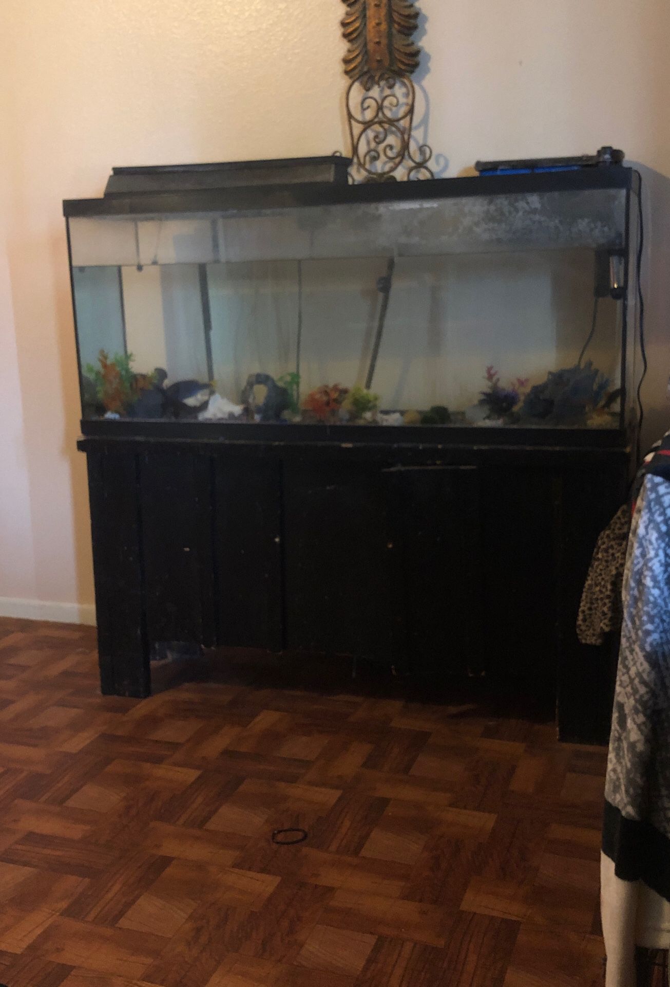 Fish tank for sale!!!