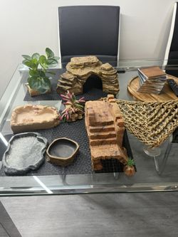 Bearded Dragon Supplies. See Description 