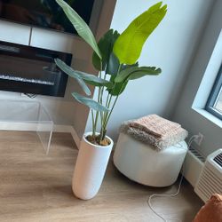 5ft Tall Artificial Plant