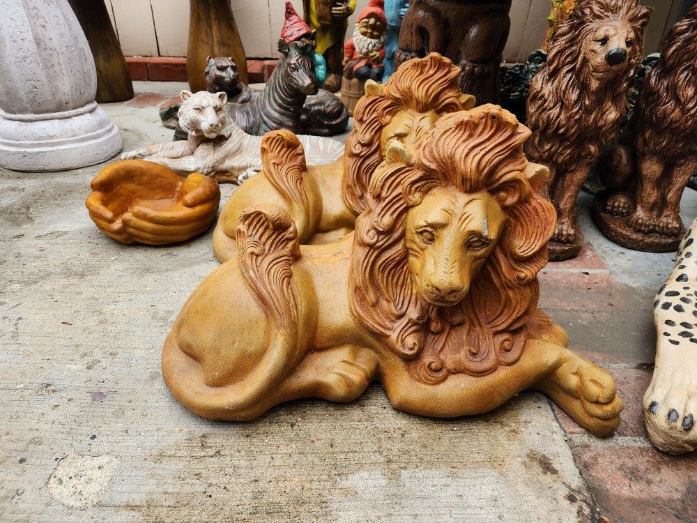Lions For Sale