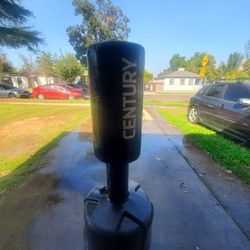 Century Punching Bag
