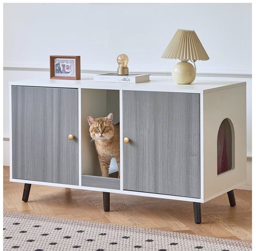 Hidden Litter Box