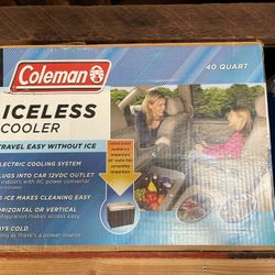 Iceless Cooler For car 12VDC