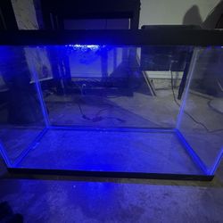 fish tank