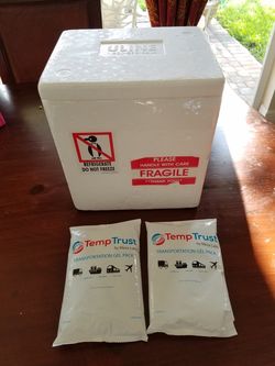 Styrofoam cooler with 2 ice packs