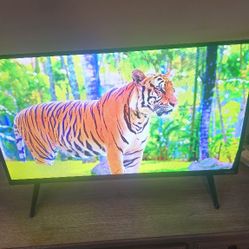 VIZIO Smart Tv 32"