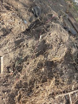 Free dirt