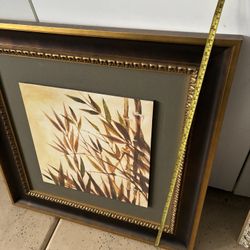 CANVAS FRAME 🖼️ 