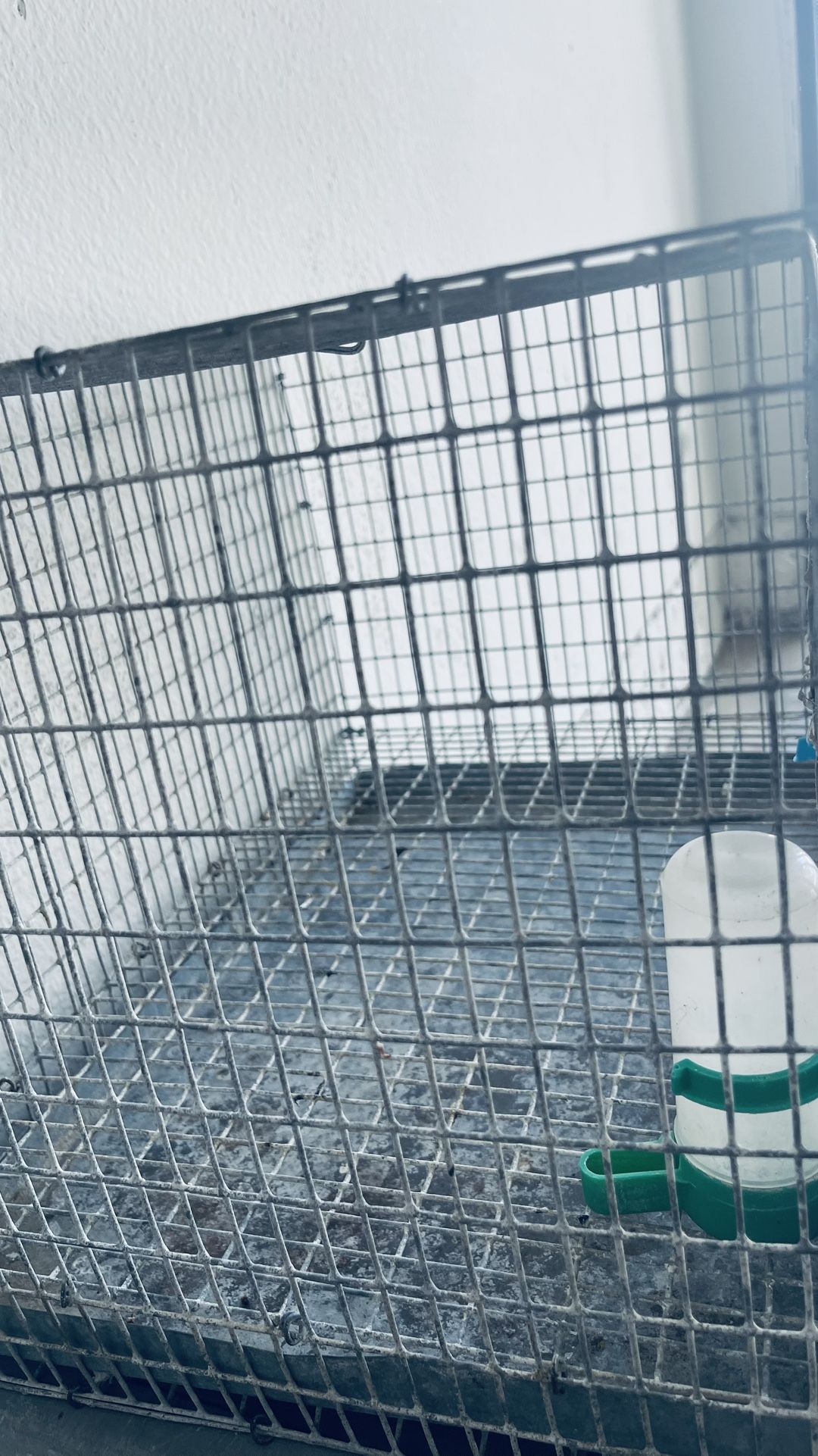 Cages For Birds, Rabbit, Dog….