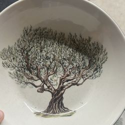 William Sonoma Olive 