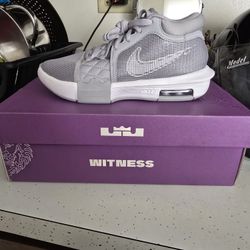 LeBron Witness Viii Tb