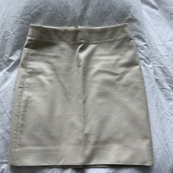 J.Crew Skirt
