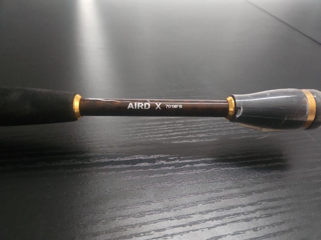 Fishing Rod