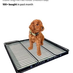 Little Wolves potty Tray 