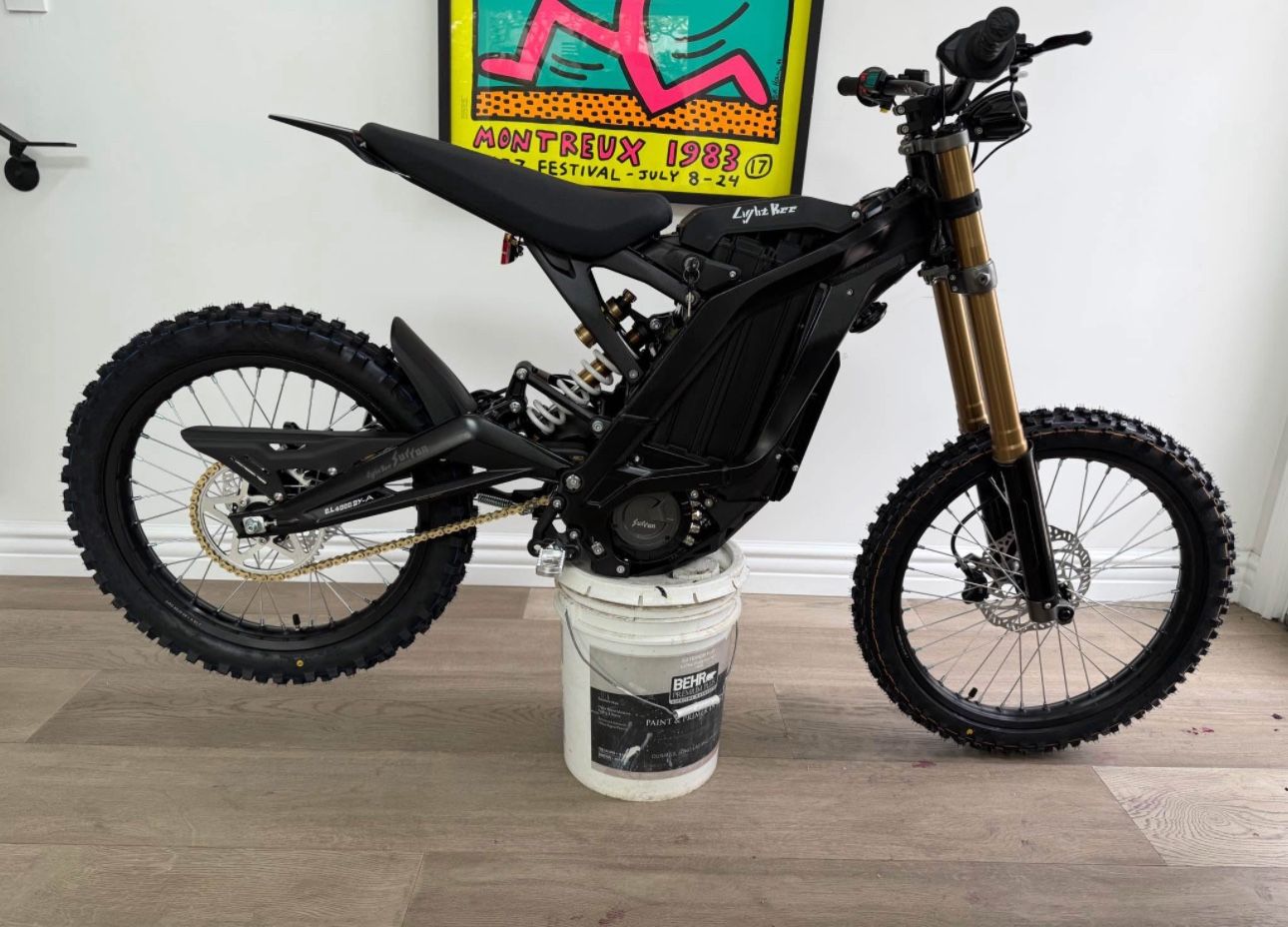 2025 SurRon Light Bee X