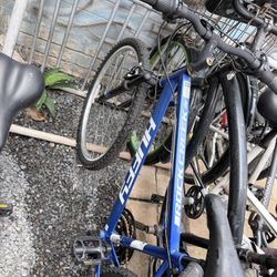 I Have 5 Bikes For Sale $50 Each 