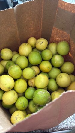 Limon Mexicano