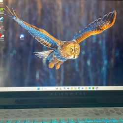 AlienWare 17 Gaming Laptop
