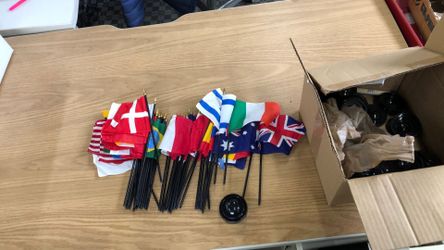 Miniature Flags Of The World Set