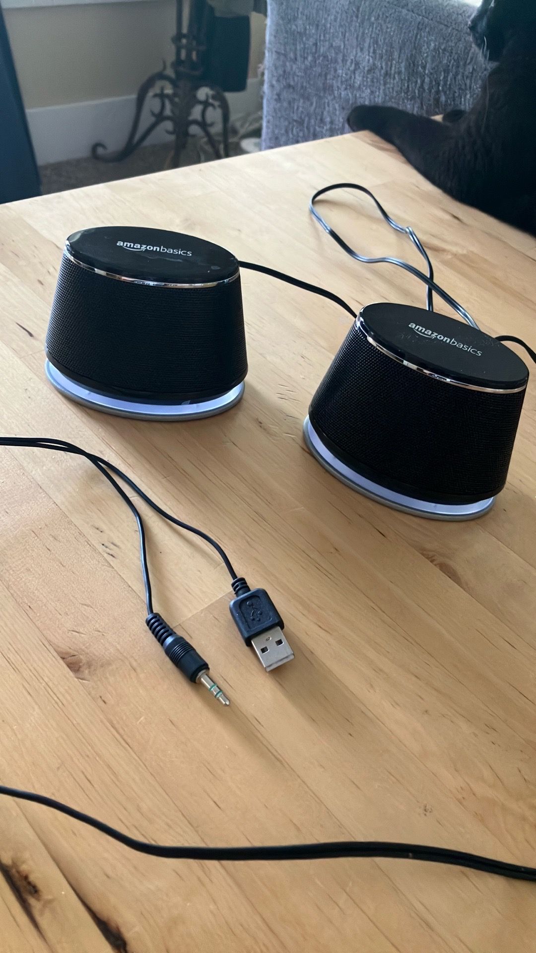 Computer speakers