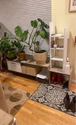 Entertainment System